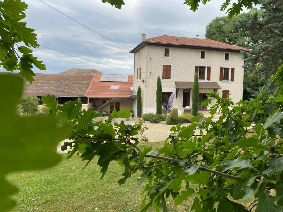 Les Berouds Hotel Salaise-sur-Sanne Eksteriør billede